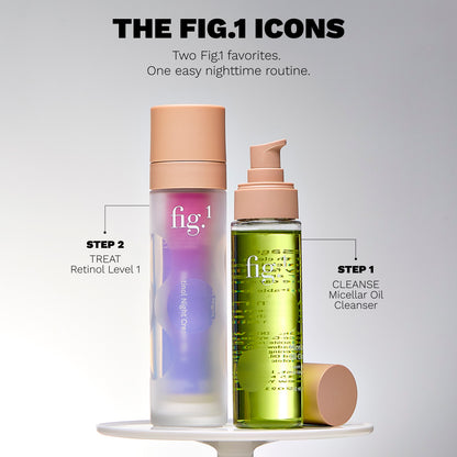 The Fig.1 Icons